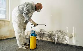 Why You Should Choose Our Mold Remediation Services in Sharon, PA